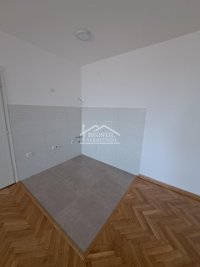 Nekretnina: Palilula - Borča - 1.5 ID#24618