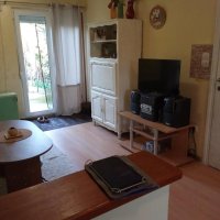 Nekretnina: PALILULA Mite Stajica ID: 8853