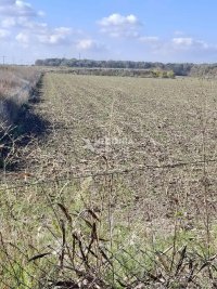 Nekretnina: Blok 53, Kvantaš, Ševino polje, plac 31.2 ara ID#10275