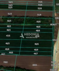 Nekretnina: Blok 53, Kvantaš, Ševino polje, plac 31.2 ara ID#10275