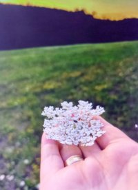 Nekretnina: Sopot, Parcani, prelep plac 113 ari, građevinsko zemljište.