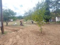 Nekretnina: Smederevo - Udovički prokop - 19,95 ari ID#22203