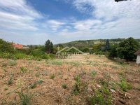 Nekretnina: Smederevo - Udovički prokop - 10ari ID#22181