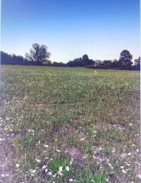 Nekretnina: Sopot, Parcani, prelep plac 113 ari, građevinsko zemljište.