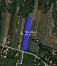 Nekretnina: Surčin, Petrovčić, plac 40 ari, uknjižen ID#10289