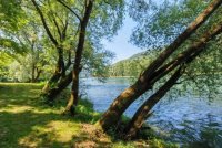 Nekretnina: Placevi na prodaju Gornja Trešnjica-Ljubovija