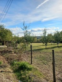 Nekretnina: Plac u Sopotu sa pogledom na Kosmaj