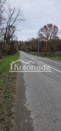 Nekretnina: Plac u Rogači, Kosmaj, Sopot ID#12025