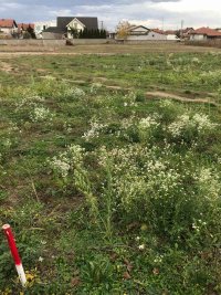 Nekretnina: Prodajem plac u Loznici