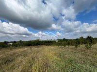 Nekretnina: Smederevo - Udovički prokop - 12,32ara ID#24570