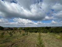 Nekretnina: Smederevo - Udovički prokop - 12,32ara ID#24570