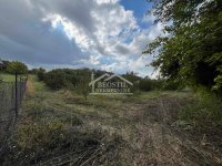Nekretnina: Smederevo - Udovički prokop - 12,32ara ID#24570