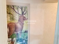 Nekretnina: Zemun, Centar, 2.0, dve stambene jedinice, dvorište ID#10302