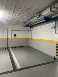 Nekretnina: VRACAR Djordja Vajferta ID: 8904