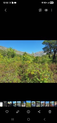 Nekretnina: Prodaja zemlje u Ravnom kod Dubrovnika