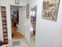 Nekretnina: Zemun polje, Pere Kosorića , 2.5, renoviran ID#10311