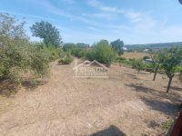 Nekretnina: Smederevo - Vodanj - 17a ID#24481