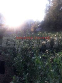 Nekretnina: RAKOVICA Miljakovačke staze ID: 680544657