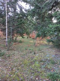 Nekretnina: Plac Zlatibor selo Stublo