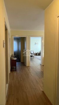 Nekretnina: Zvezdara - Olimp - 2.0 ID#24352