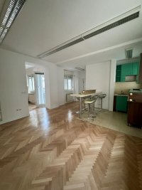 Nekretnina: Stari grad, Kopitareva gradina, Đure Daničića, 147m2