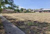 Nekretnina: 7 Jula,Kula,Kruščić,15ari