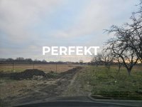 Nekretnina: Misa,plac 5,5 ari