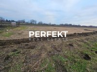 Nekretnina: Misa,plac 5,5 ari