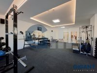 Nekretnina: ZVEZDARA Ravanička ID: 890381539