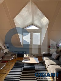 Nekretnina: VRACAR Njegoševa-Vračar ID: 93618553