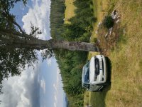 Nekretnina: TARA plac 70a sa izvorom, vlasnik