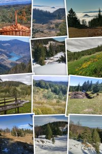 Nekretnina: TARA plac 70a sa izvorom, vlasnik