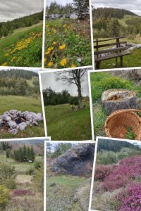 Nekretnina: TARA plac 70a sa izvorom, vlasnik