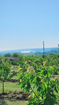 Nekretnina: Grocka - Grocka - 89ari ID#24750