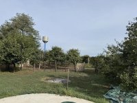 Nekretnina: Kuća sa voćnjacima Sombor-Čonoplja