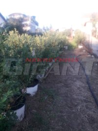 Nekretnina: RAKOVICA Miljakovačke staze ID: 680544758