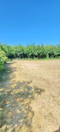 Nekretnina: Mladenovac selo, plac, 13.5 ari, uknjižen ID#10353