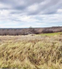 Nekretnina: Sremčica, Potes-ulica Karaula, 66,53 ari placa ID#1596