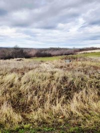 Nekretnina: Sremčica, Potes-ulica Karaula, 66,53 ari placa ID#1596