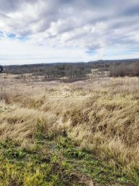 Nekretnina: Sremčica, Potes-ulica Karaula, 66,53 ari placa ID#1596