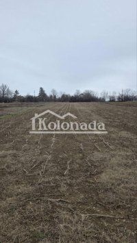 Nekretnina: Plac u Nemenikućama, Kosmaj, Sopot ID#526