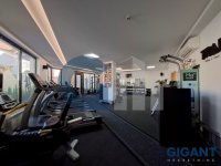 Nekretnina: ZVEZDARA Ravanička ID: 890381636