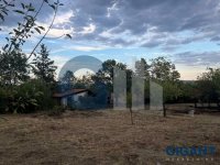 Nekretnina: MLADENOVAC Ravanička-Amerić ID: 904641254