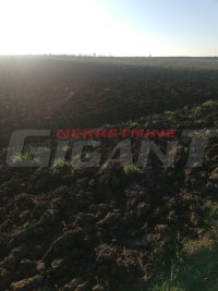 Nekretnina: SURCIN ID: 821942836