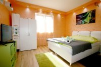 Nekretnina: Garsonjera, nameštena ID#3628