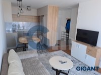 Nekretnina: PALILULA Mirka Milojkovića ID: 9252774