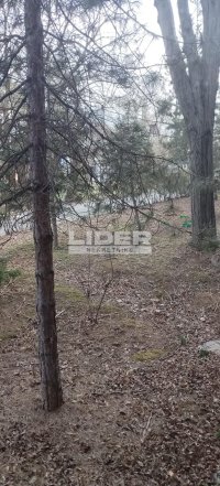 Nekretnina: Preporuka agencija, 1.0 Košutnjak ID#100518