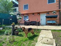 Nekretnina: Kuca na prodaju 210m2/5ari placa