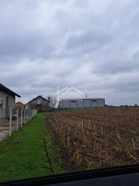 Nekretnina: Zemun - Batajnica - 5,70ari ID#24820