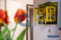 Nekretnina: PLANINA-ZLATIBOR Kraljevi konaci ID: 91135